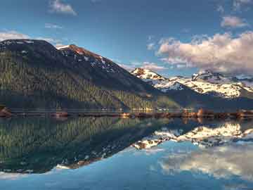 头像你最新,头像你最新，一场关于更新的温馨日常